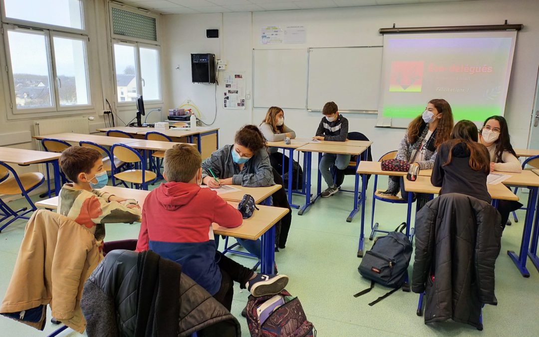 Des éco-délégués au collège Vallée du Loir !