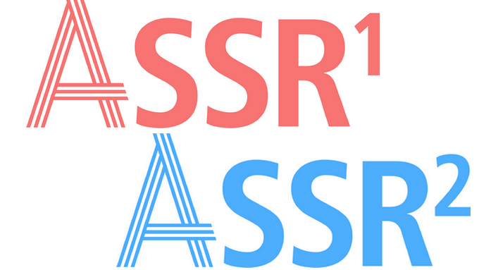 ASSR 2024