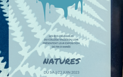 Exposition « Natures », les éco-délégué.es présentent leurs projets…